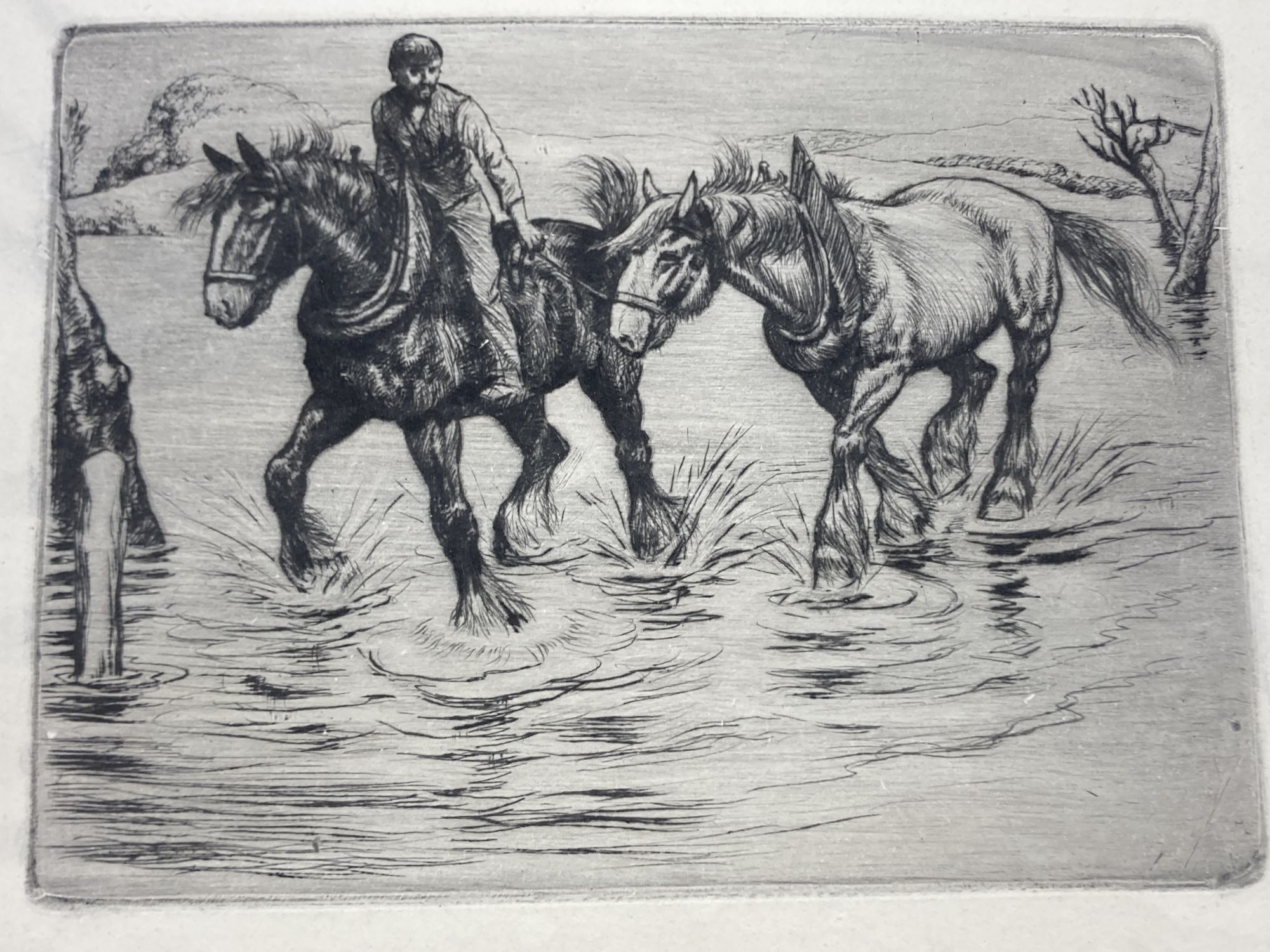 Anton Lock (1893-1979), a group of twenty five etchings of equestrian subjects, approx 19 x 24cm, all unframed